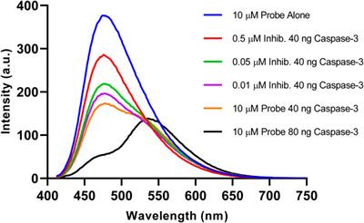 Utilising a 1,8-naphthalimide probe for the ratiometric fluorescent visualisation of caspase-3